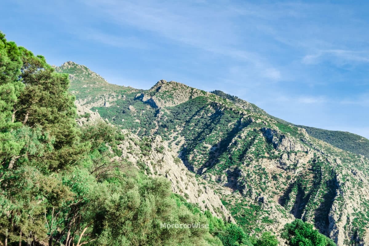 Hiking the Rif Mountains: Trails, Nature, and Adventures Around Chefchaouen