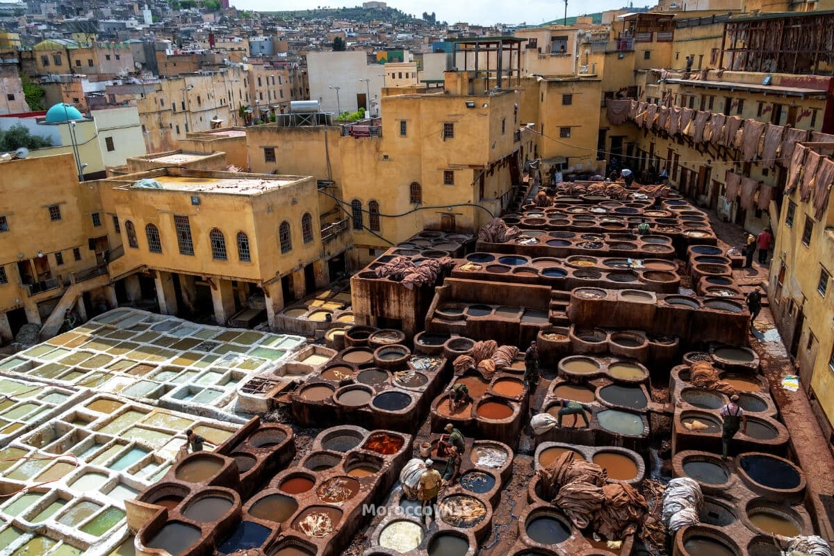 Chouara Tanneries: The Ancient Art of Leather Dyeing in the Heart of Fes