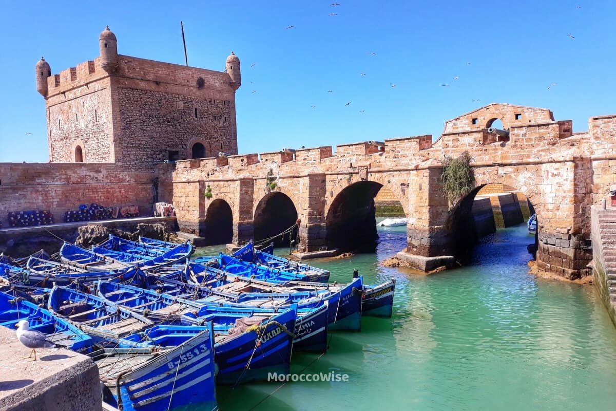Traditional blue wooden fishing boats moored in Essaouira harbor