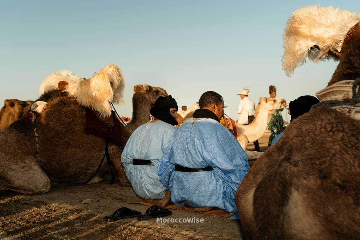 Amazigh desert hosts sharing music and hospitality in southern Morocco