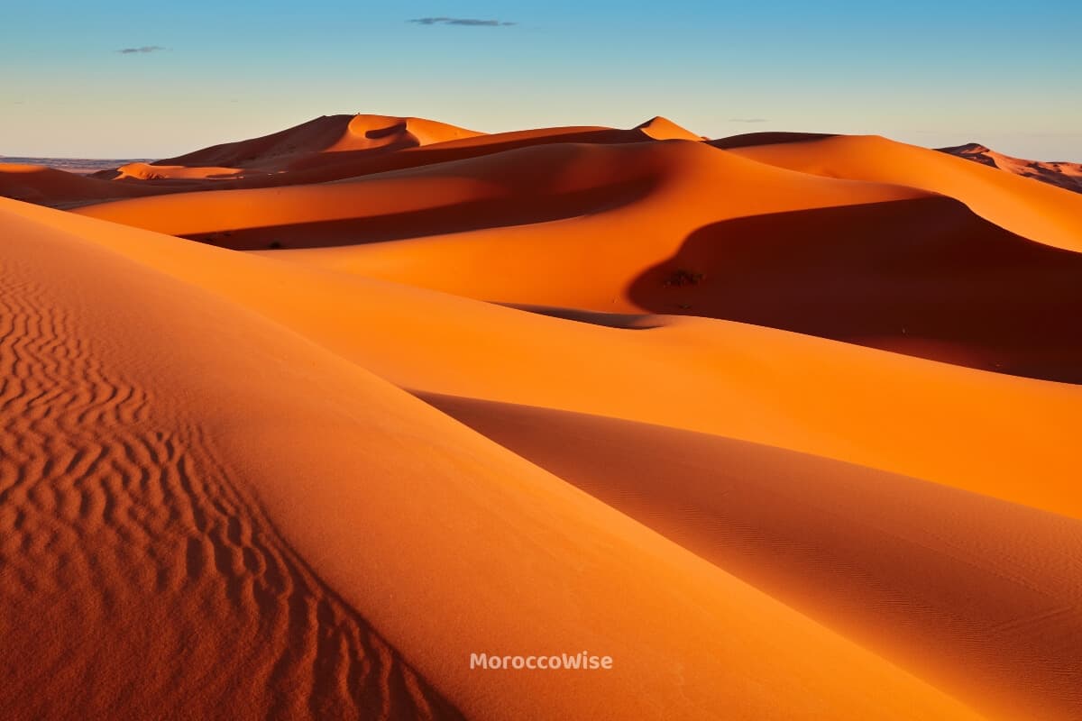 Golden dunes beneath the vast sky of the Moroccan Sahara