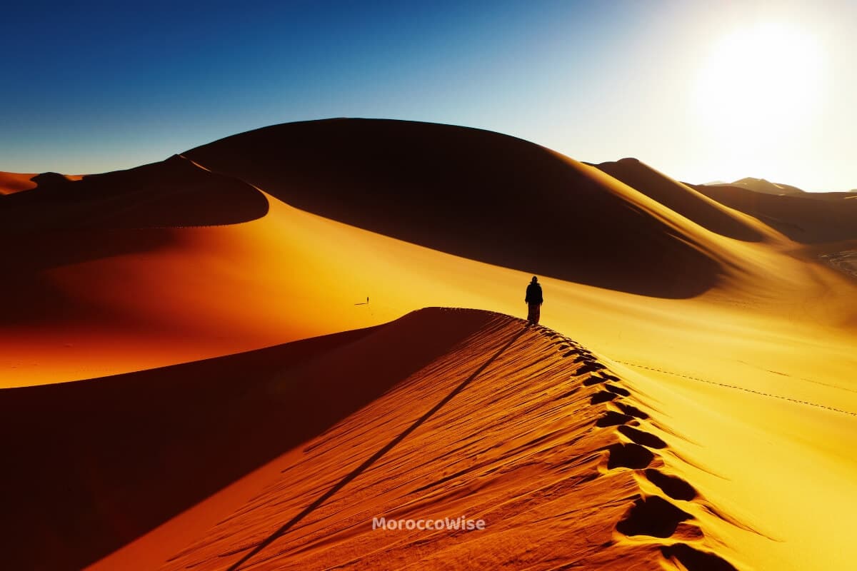 The warm glow of a Sahara camp after sunset