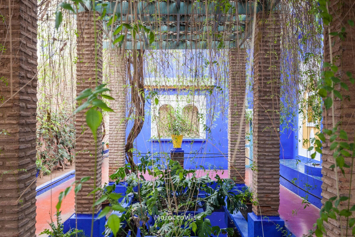 Majorelle Blue walls beside exotic plants and water