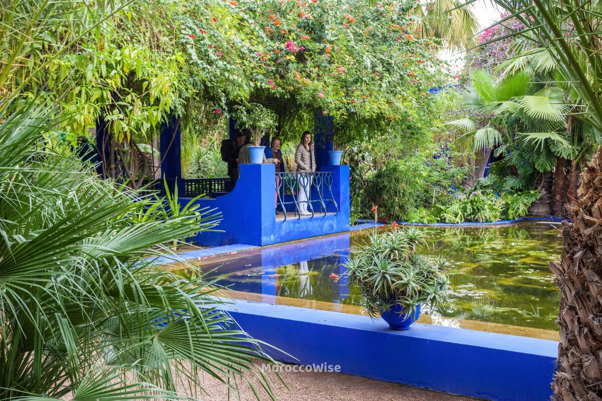 A shaded path through the botanical collection at Jardin Majorelle